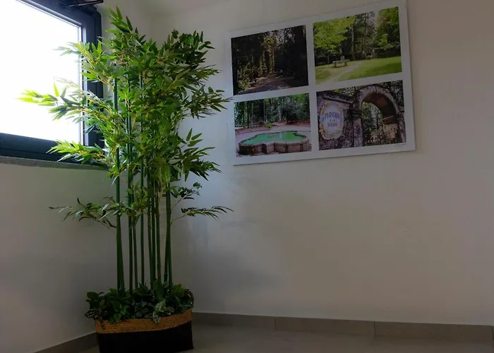 Hotel Figuras Magicas